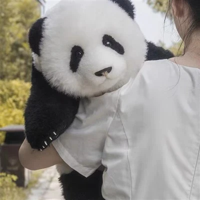 ぬいぐるみパンダぬいぐるみソフトクマ動物就寝時のおもちゃかわいいキッズギフト巨大なぬいぐるみベビーパンダぬいぐるみ